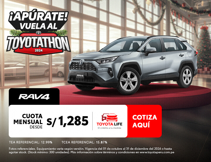 RAV4 FESTIVAL DICIEMBRE 2024